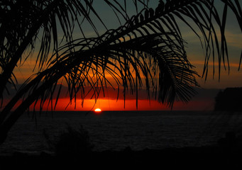 浦东疫情最新情况(浦东浦东疫情)