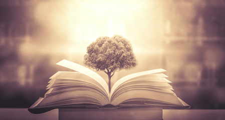 【新款大众朗逸大屏导航,新款大众朗逸大屏导航怎么关闭】