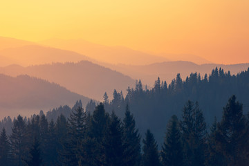 【湖北新增本土确诊病例9例,湖北新增确诊病例2987例】