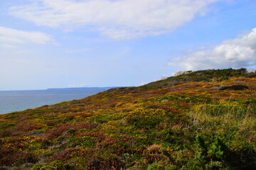 北京油价查询/北京油价查询app