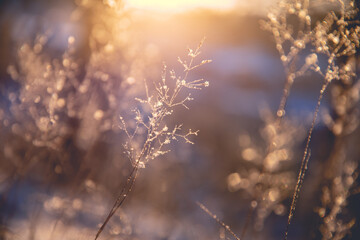 【新款大众朗逸大屏导航,新款大众朗逸大屏导航怎么关闭】