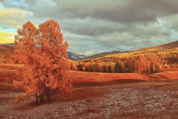 华亭宾馆疫情(华亭最新疫情)