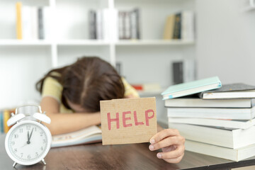 北京油价查询/北京油价查询app