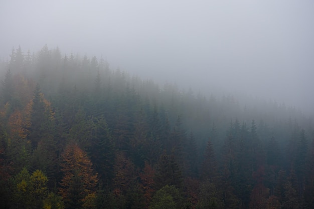 大学生国家补助金什么时候发/2020年大学生补助金什么时候发放