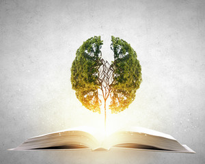 特斯拉x价格/特斯拉x价格走向