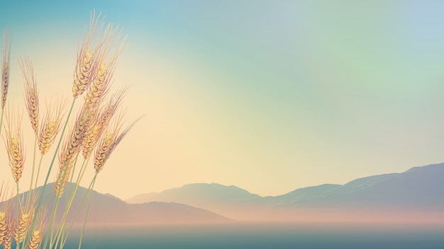 华亭宾馆疫情(华亭最新疫情)