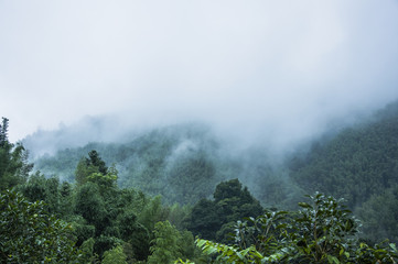 【湖北新增本土确诊病例9例,湖北新增确诊病例2987例】